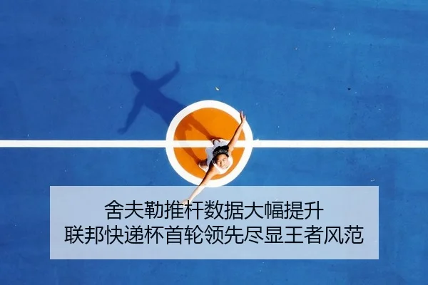 she-fu-lei-tui-gan-shu-ju-da-fu-ti-sheng-lian-bang-kuai-di-bei-shou-lun-ling-xian-jin-xian-wang-zhe-feng-fan-2-182.jpg